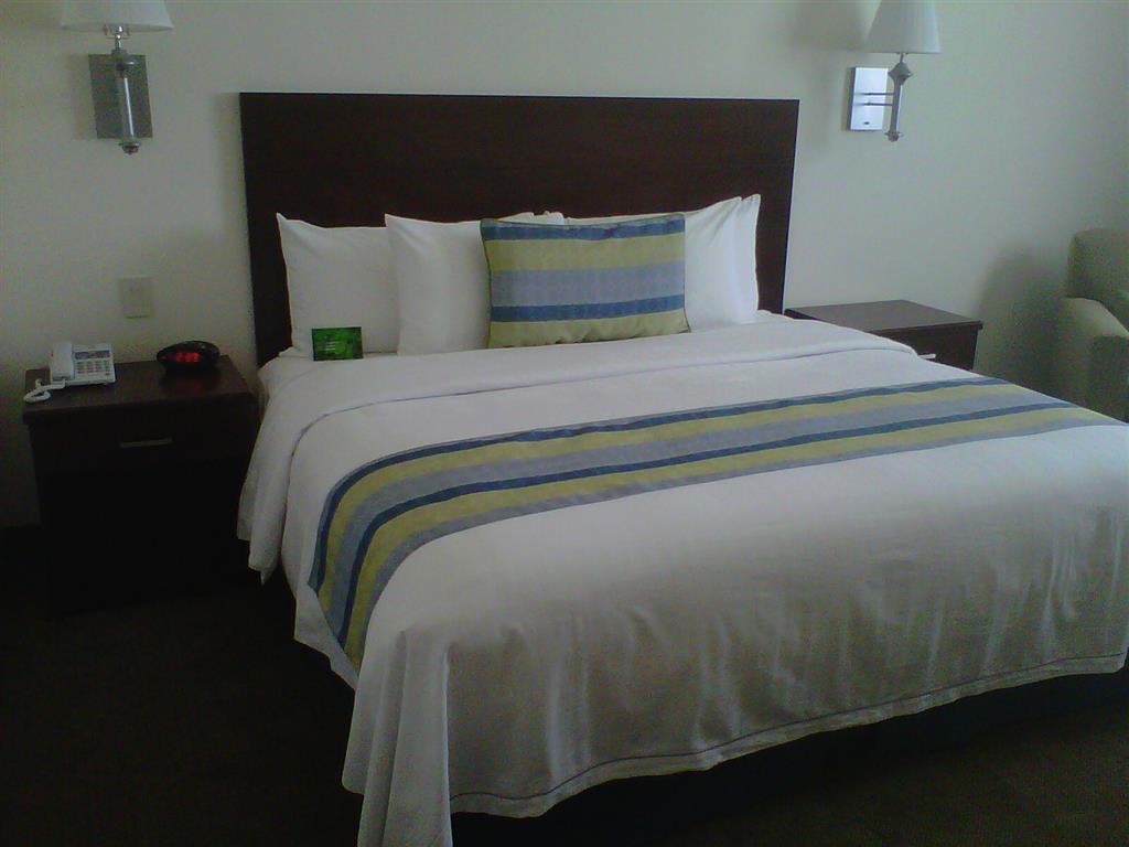 Hotel Aeropuerto Los Cabos San José del Cabo المظهر الخارجي الصورة
